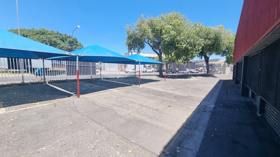 To Let commercial Property for Rent in Parow Industrial Western Cape